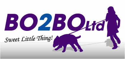 2664il-Bo2Bo-Final-Logo-4WE.gif